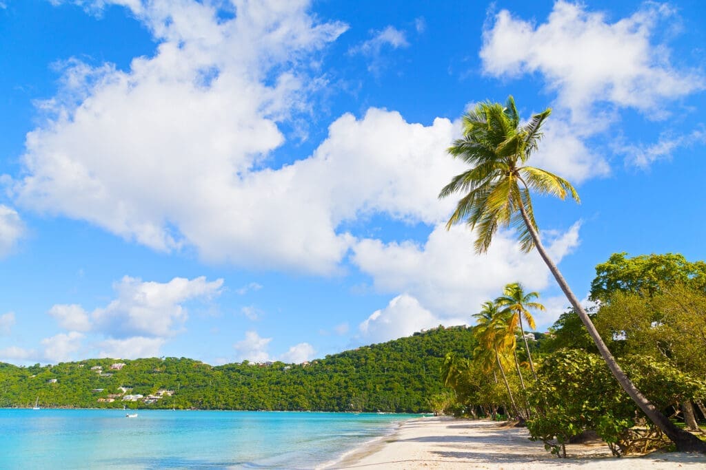 Peaceful shoreline in the Virgin Islands