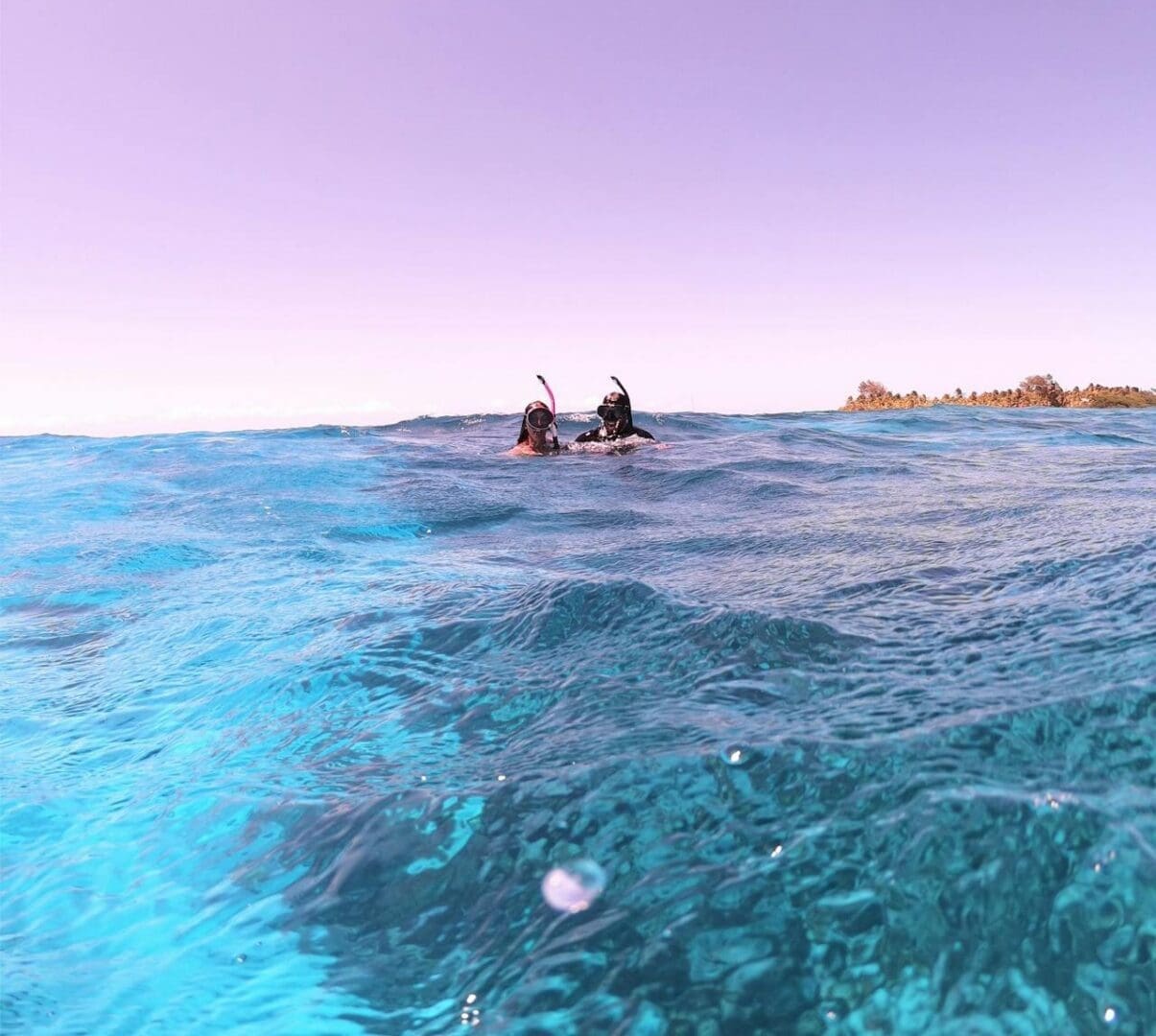 snorkeling different times of day