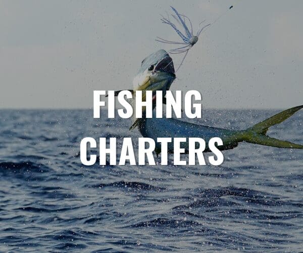 FISHING CHARTERS