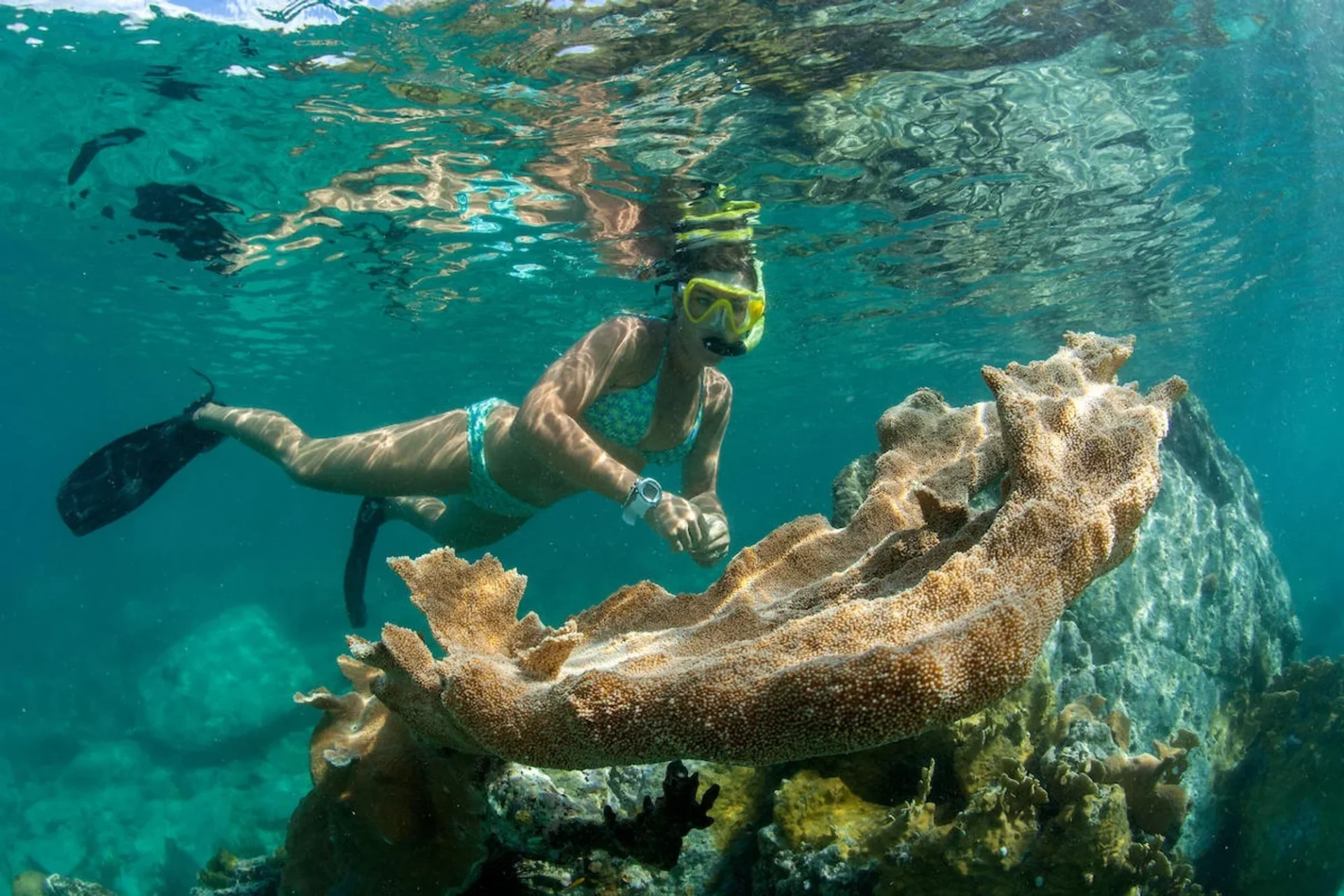 Picnic Snorkel Sail